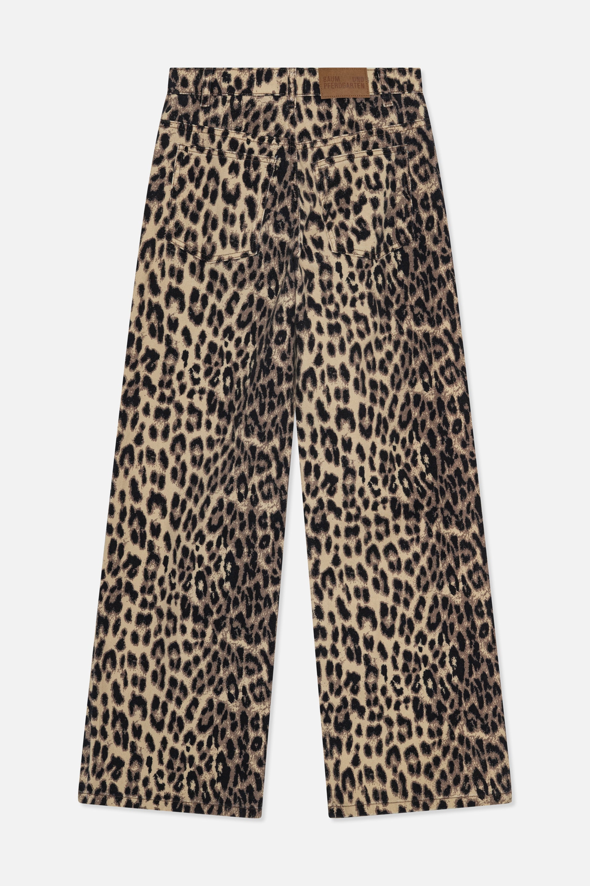 24229_1366_5.jpg media file