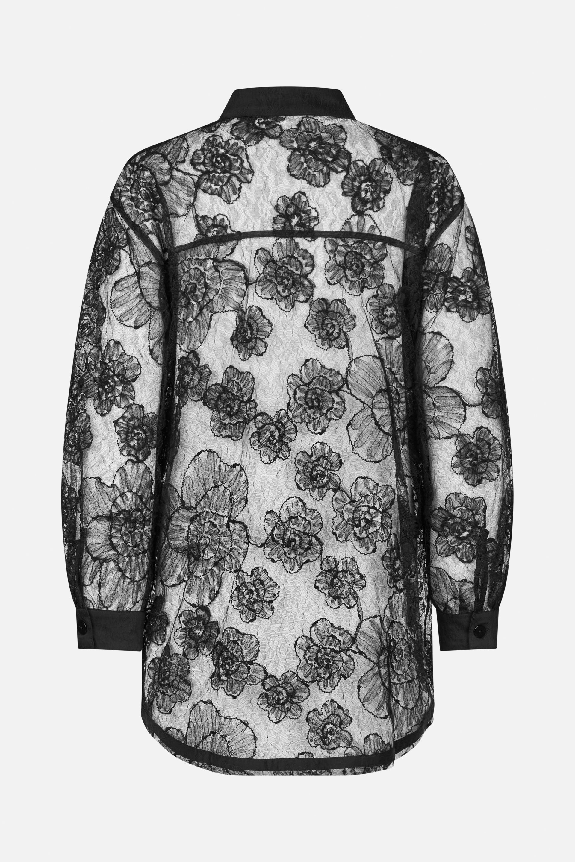 24283_9999_5.jpg media file