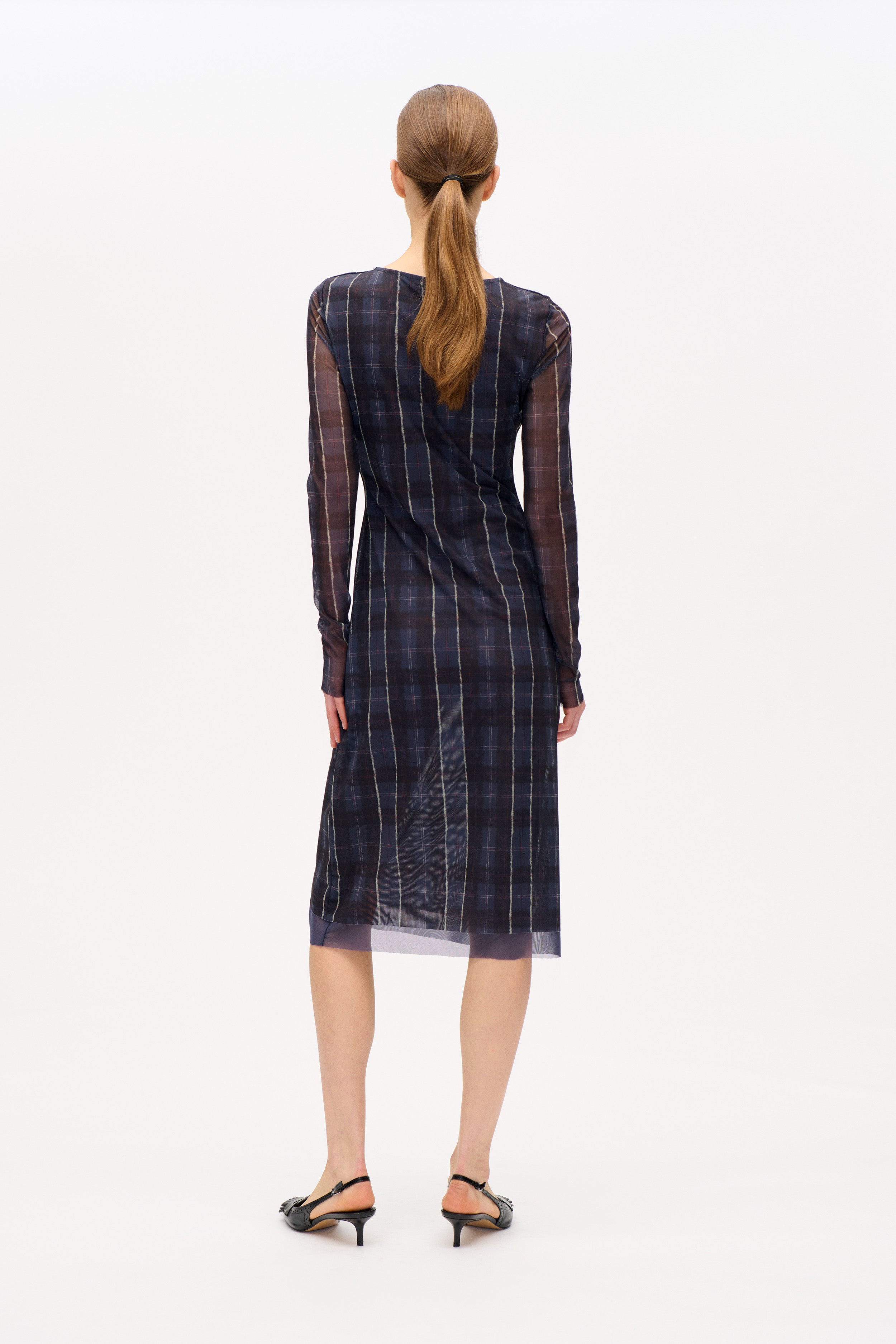 24450_7558_2.jpg media file