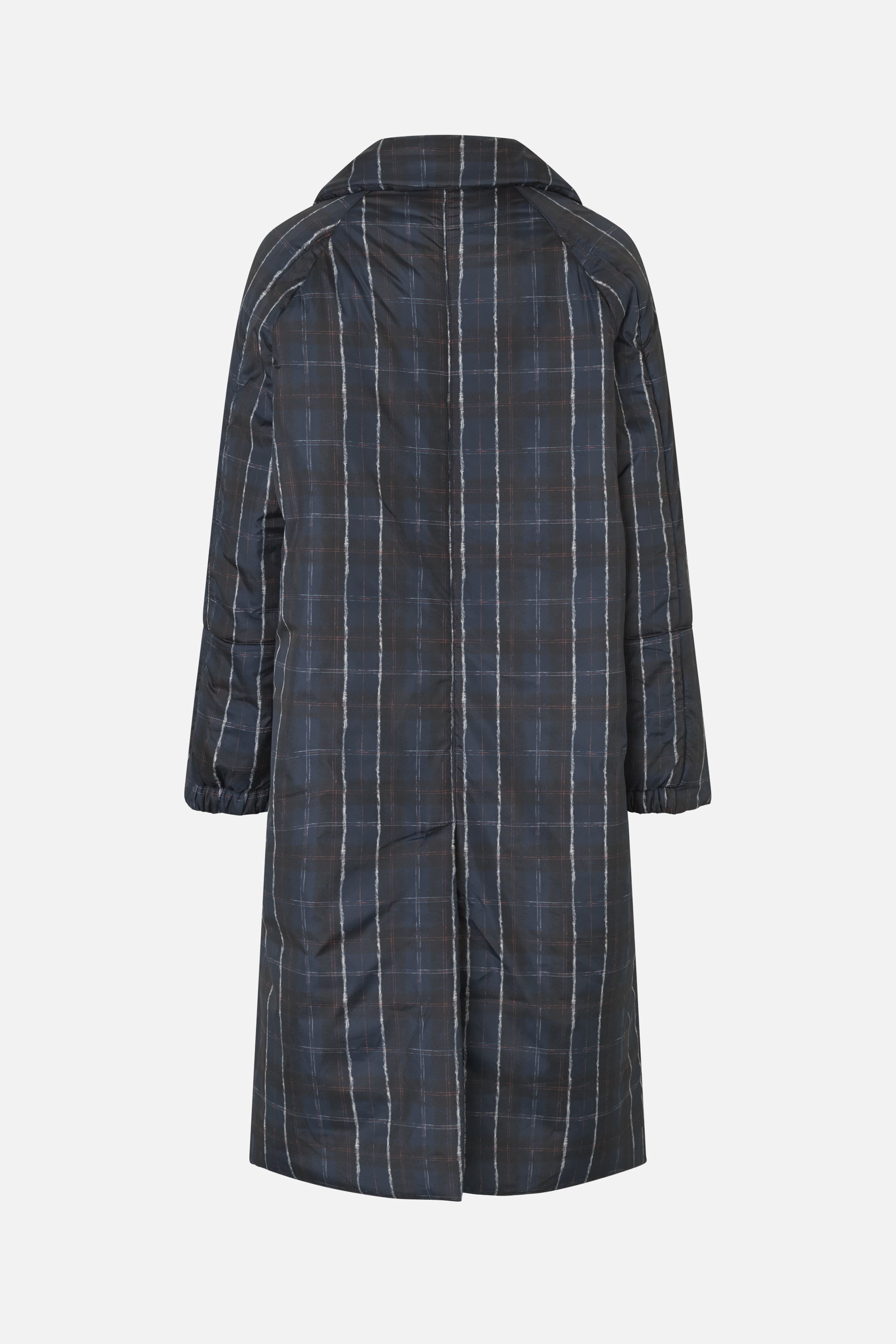 24554_7558_5.jpg media file