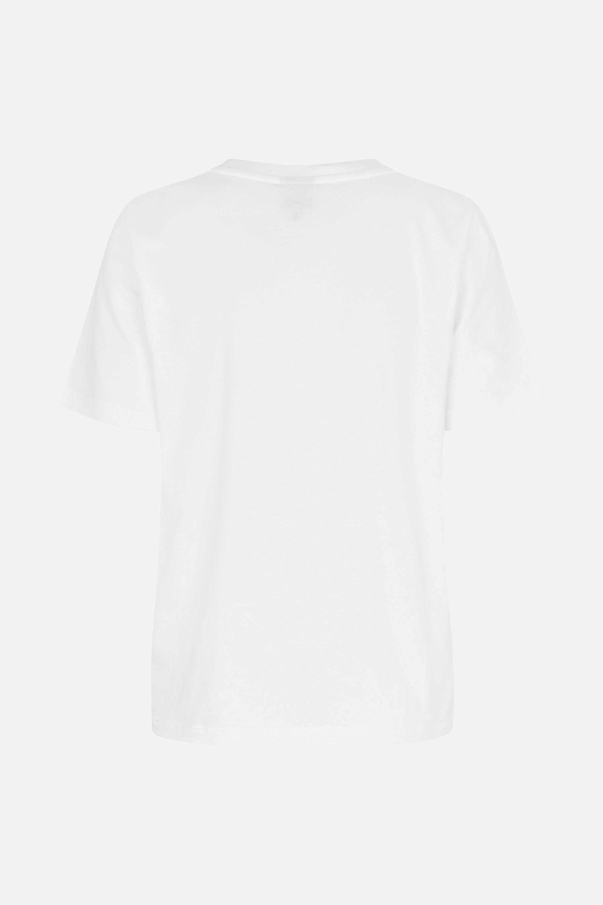 24593_2191_5.jpg media file