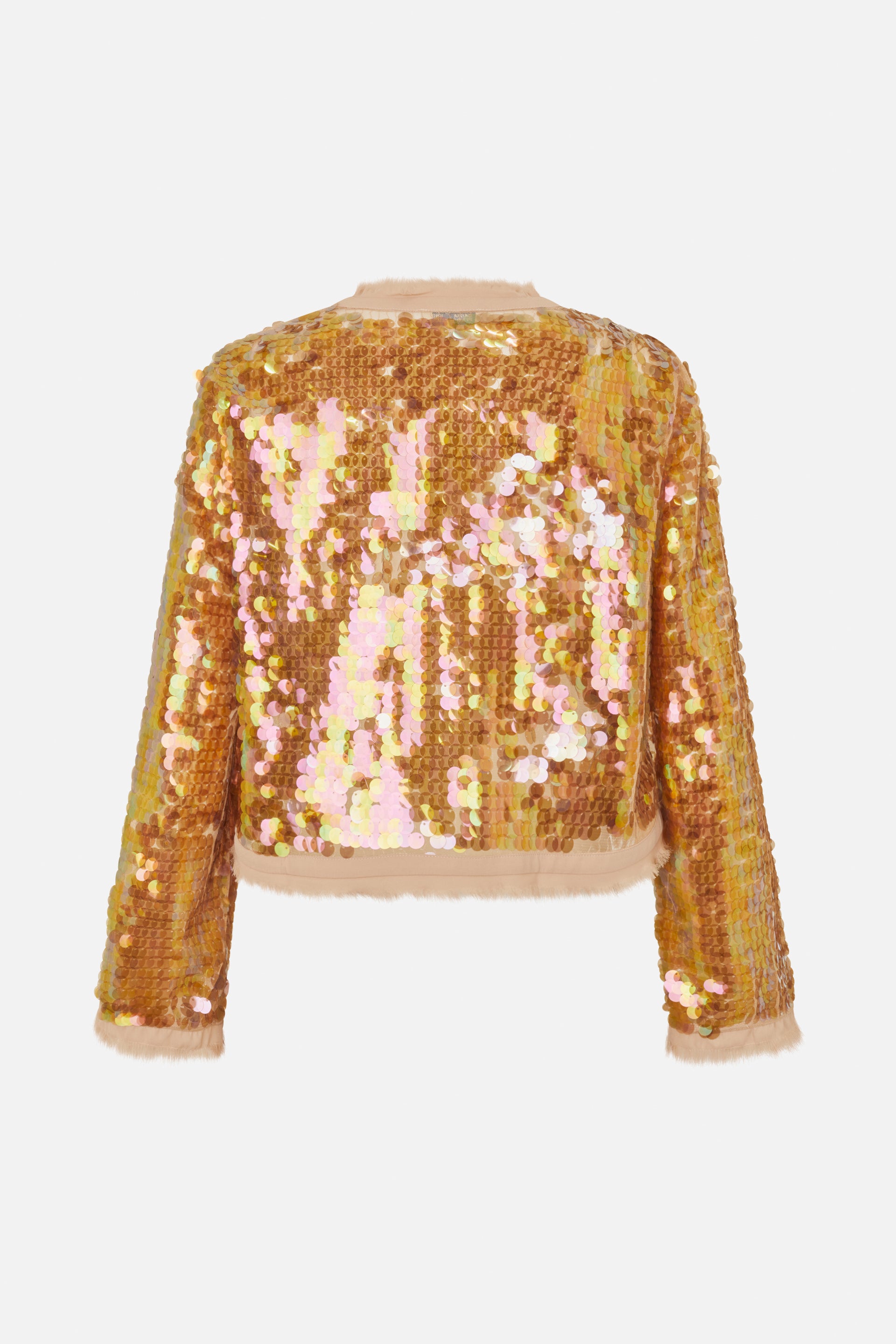 24627_8219_5.jpg media file