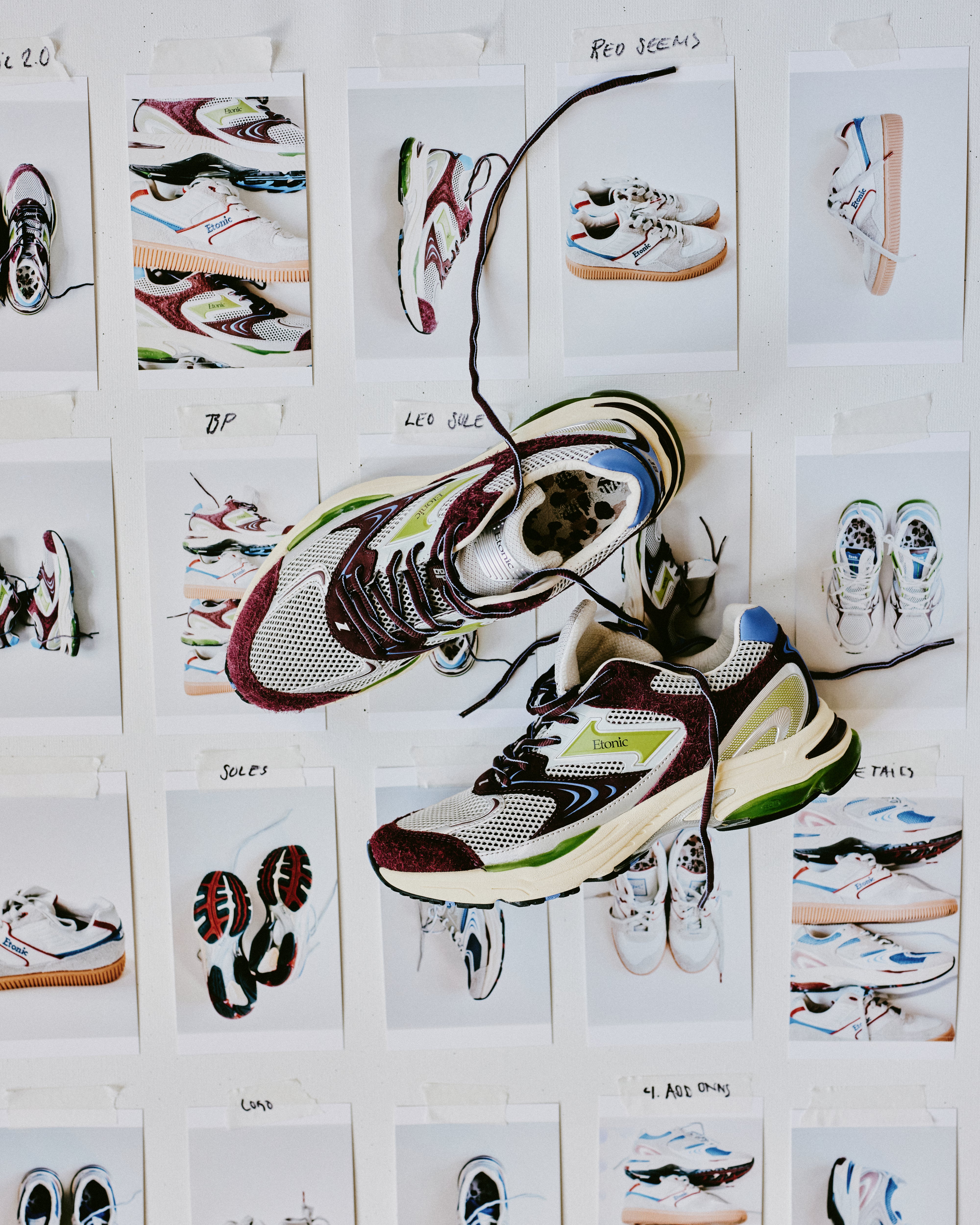 EVOLUTION SHOES | Wedgewood