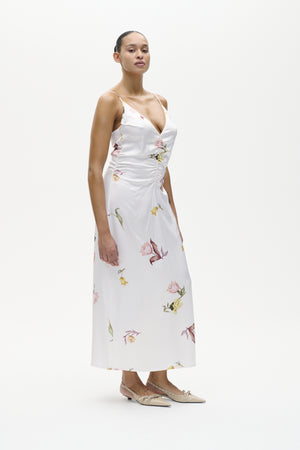 24893_1424_1.jpg media file