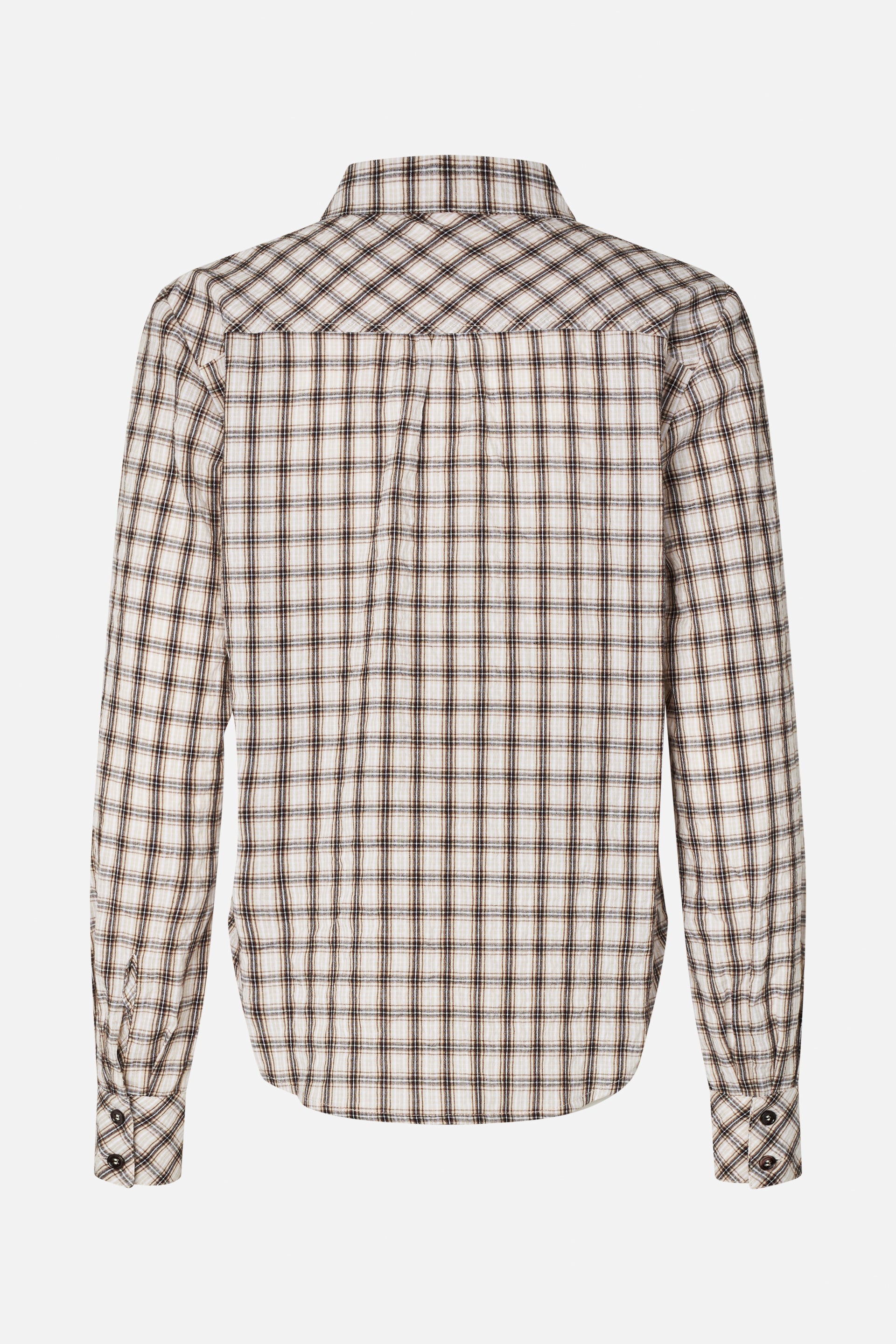 24894_1425_5.jpg media file