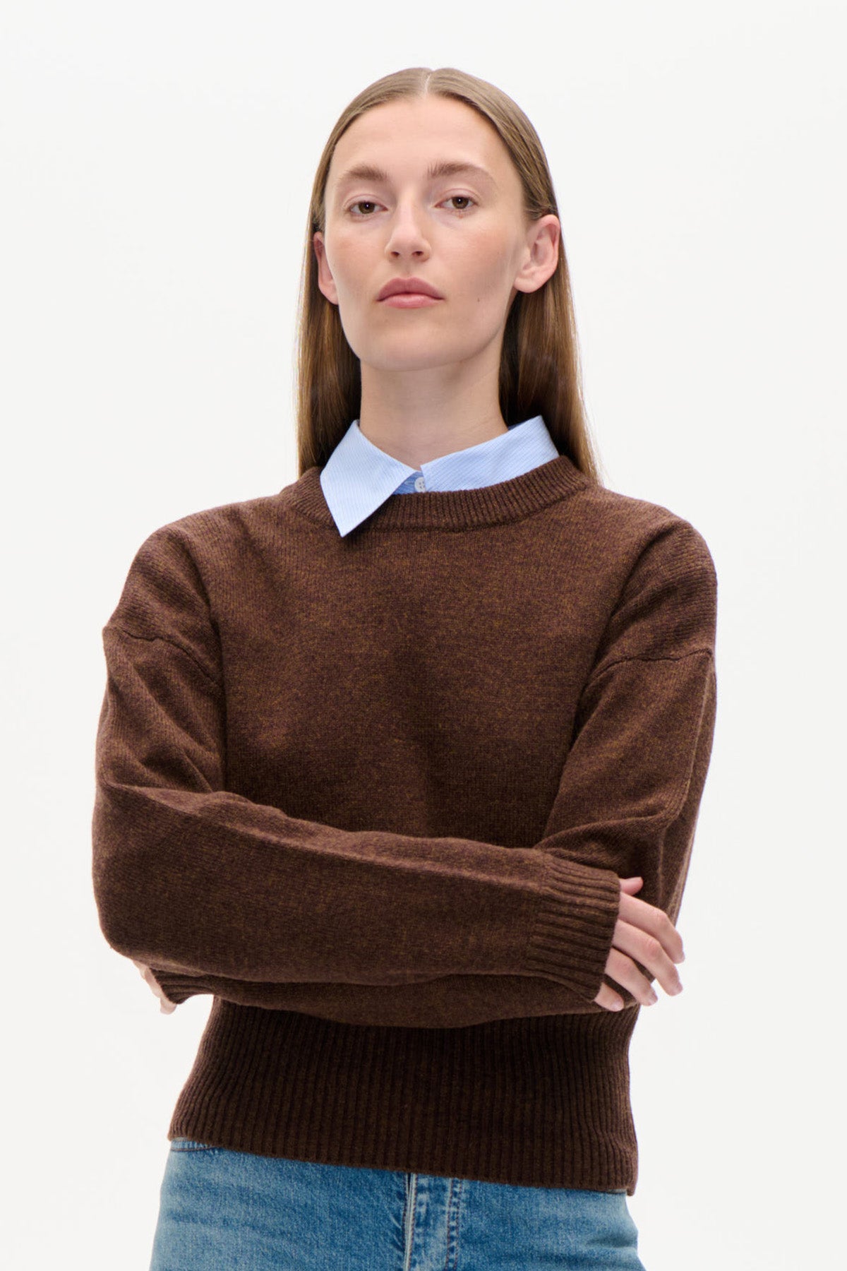 Front view of a model wearing a brown crew-neck knit sweater over a pale blue collared shirt, with blue jeans.
