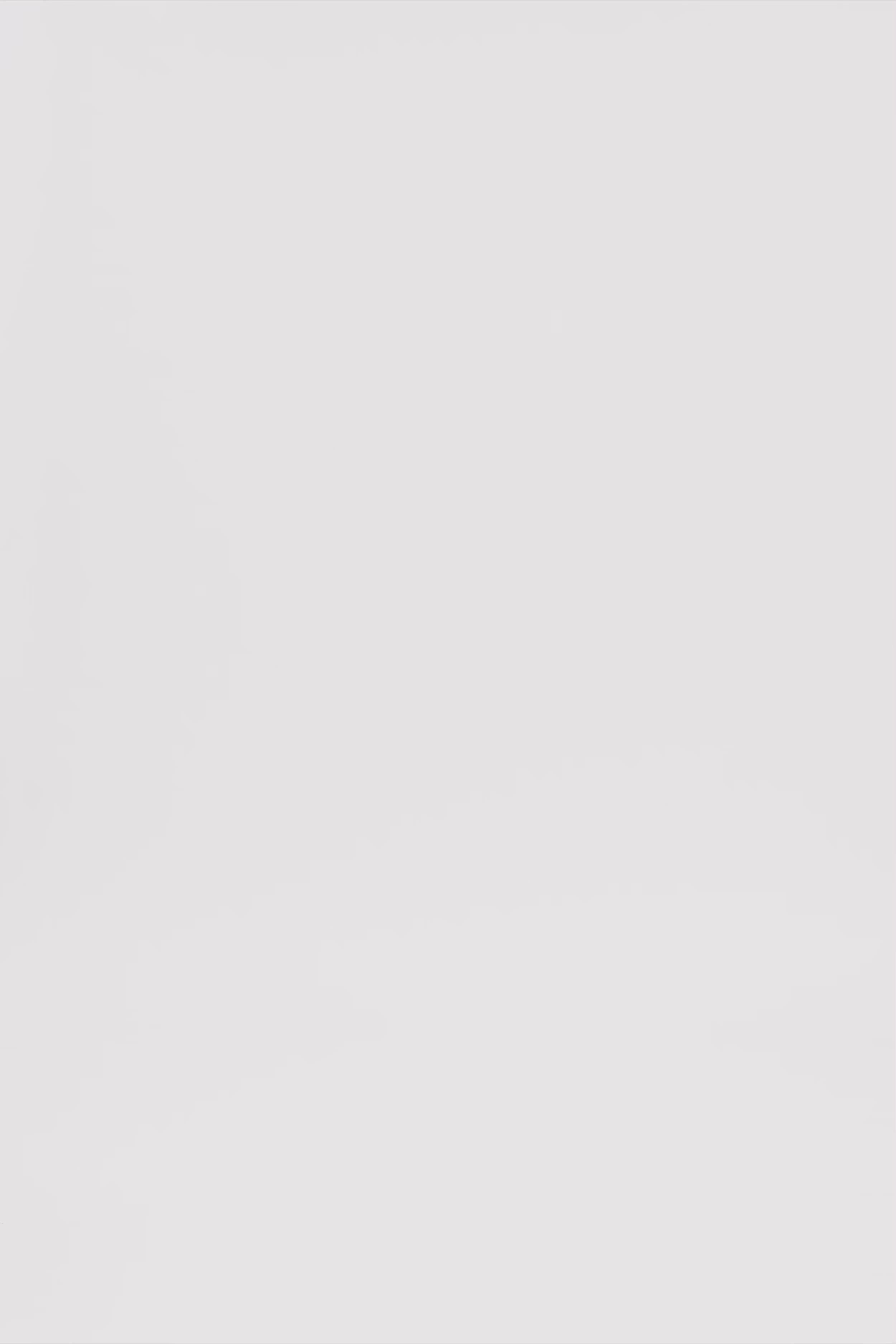 24453_9163_3.mov media file