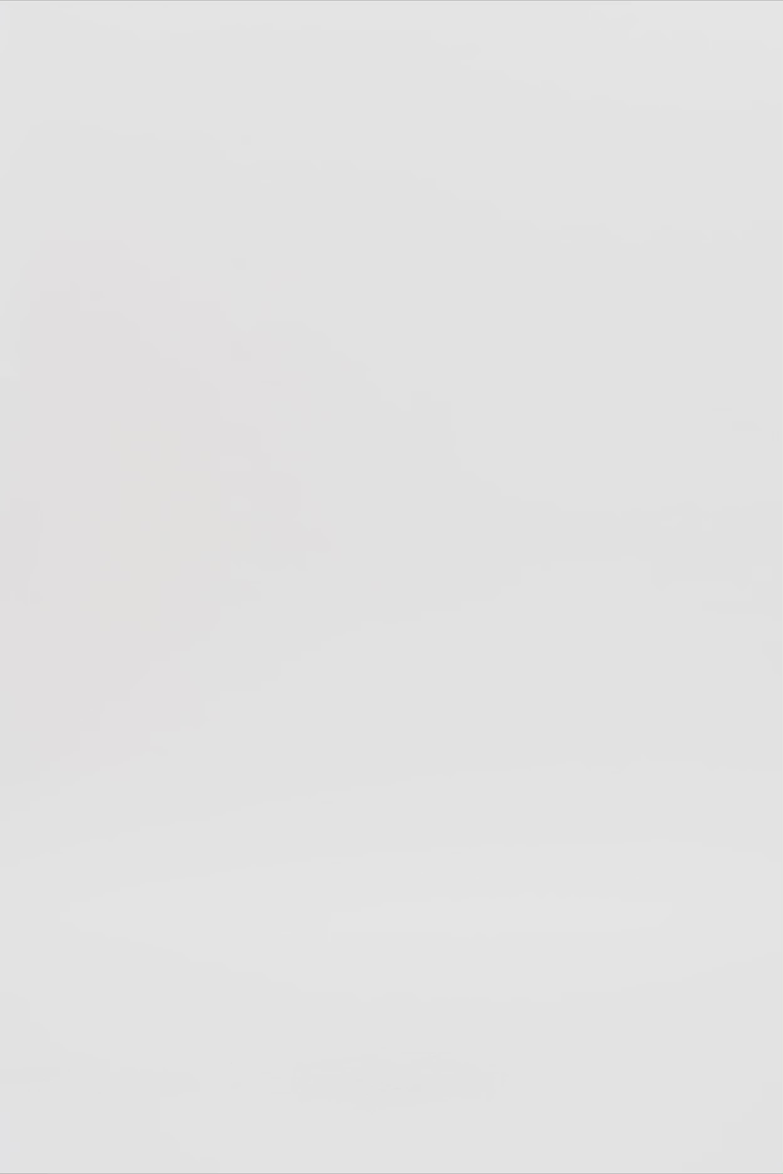 24855_2195_3.mov media file