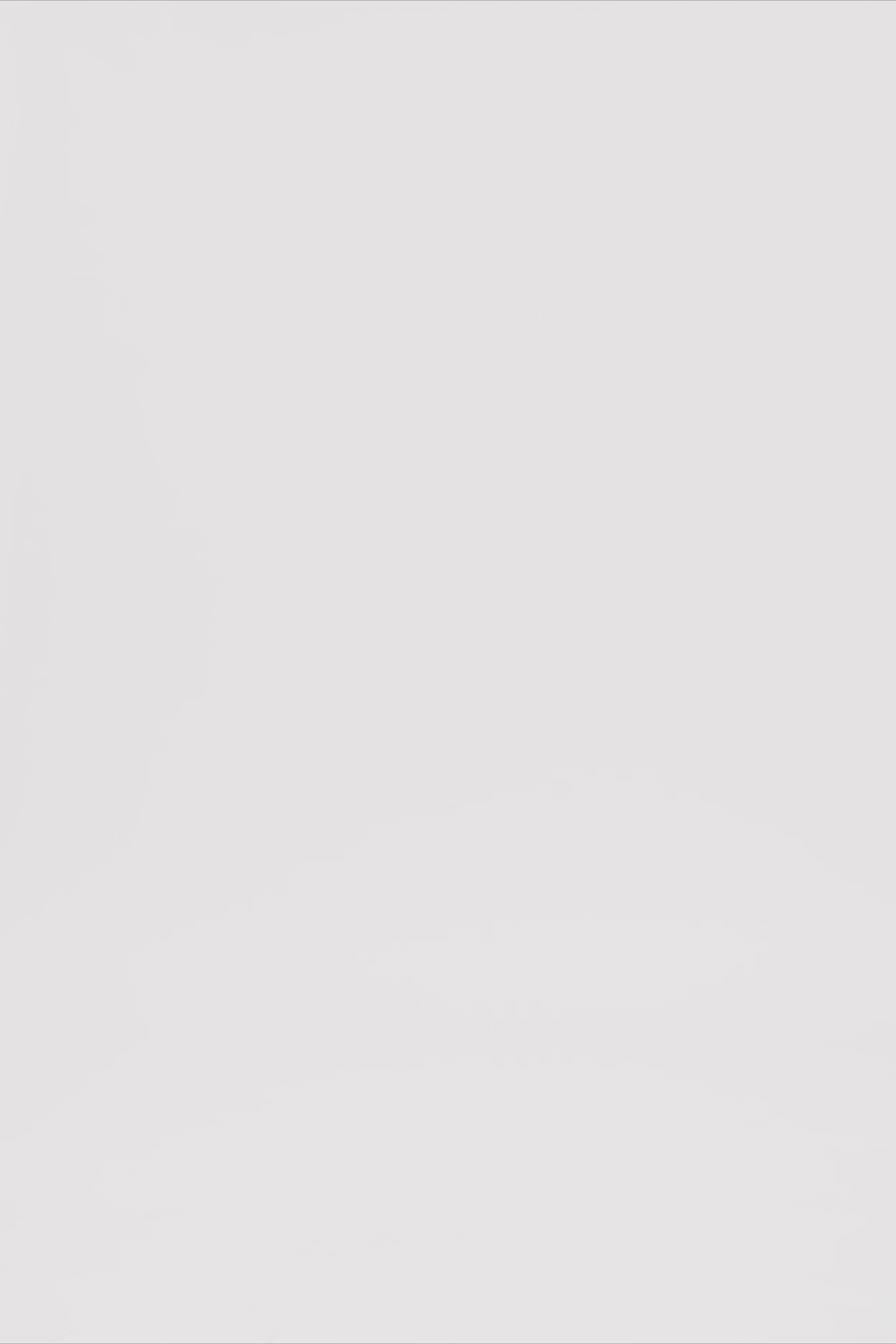 24705_7348_3.mov media file