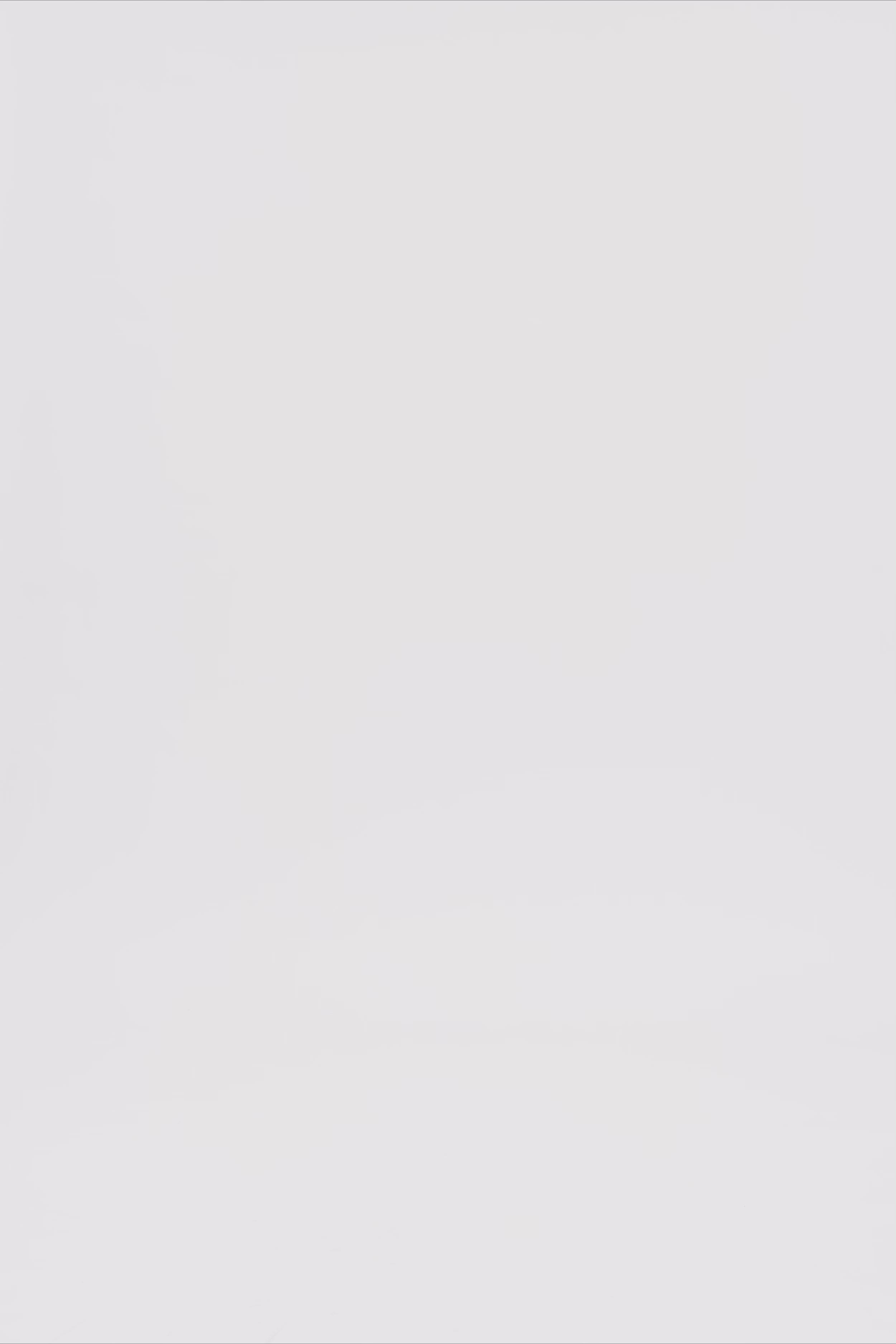 24622_2187_3.mov media file