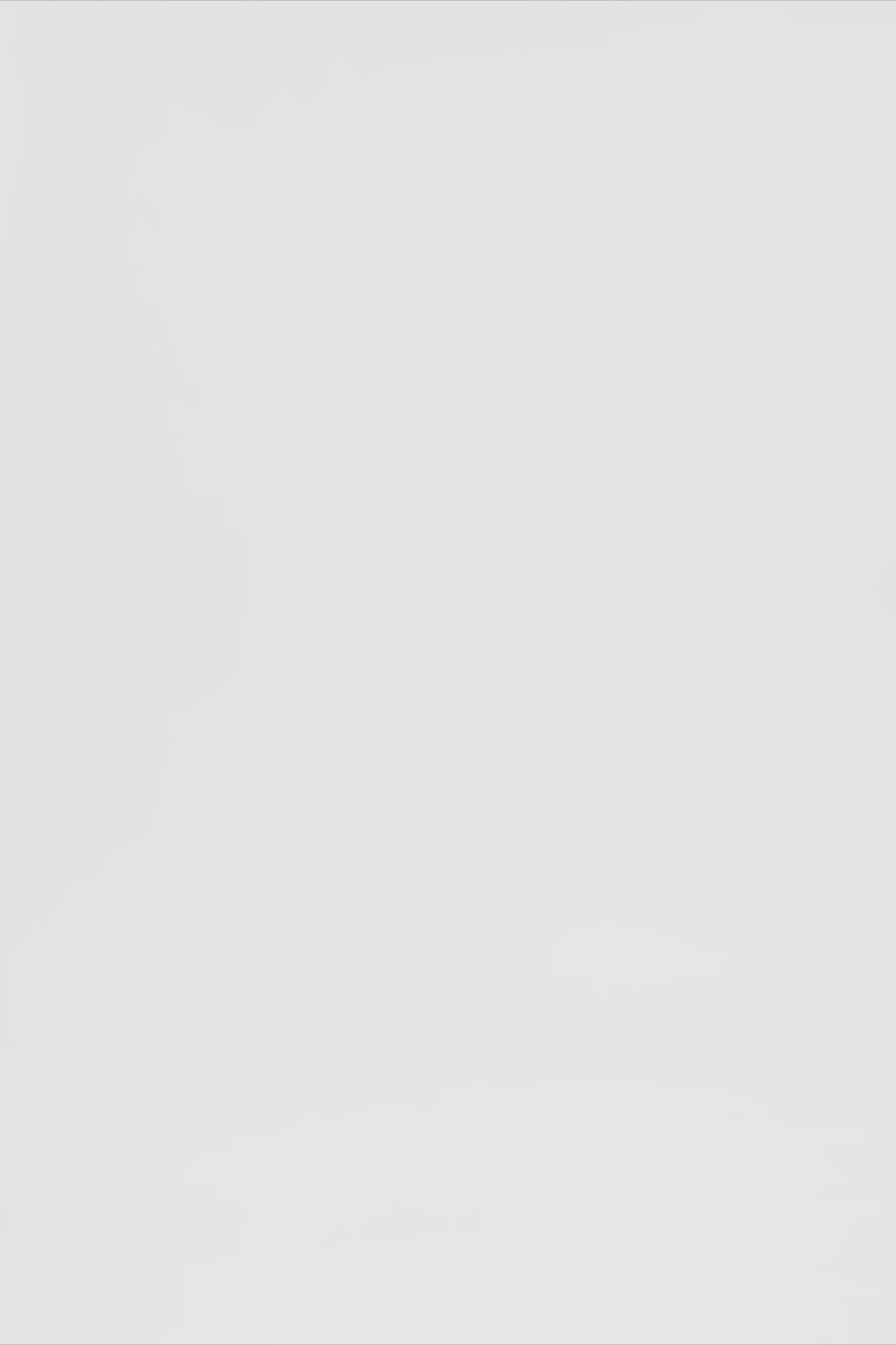 24705_7426_3.mov media file