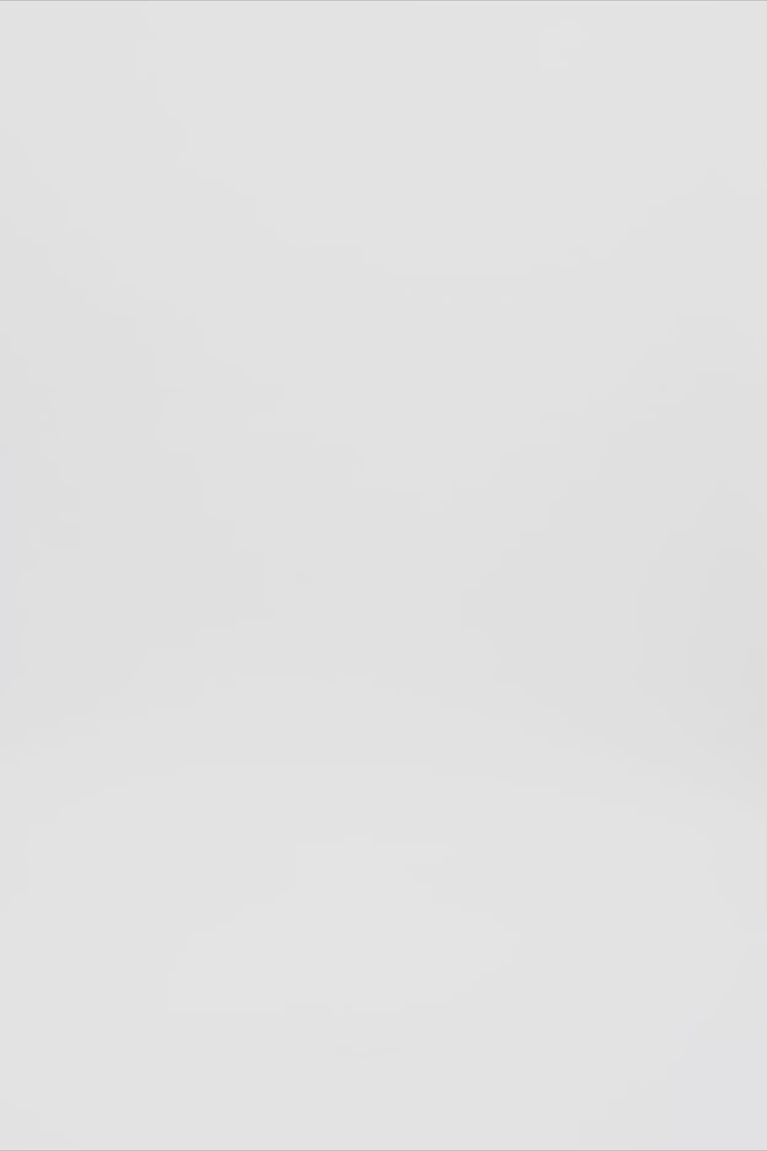 24893_1424_3 (2).mov media file