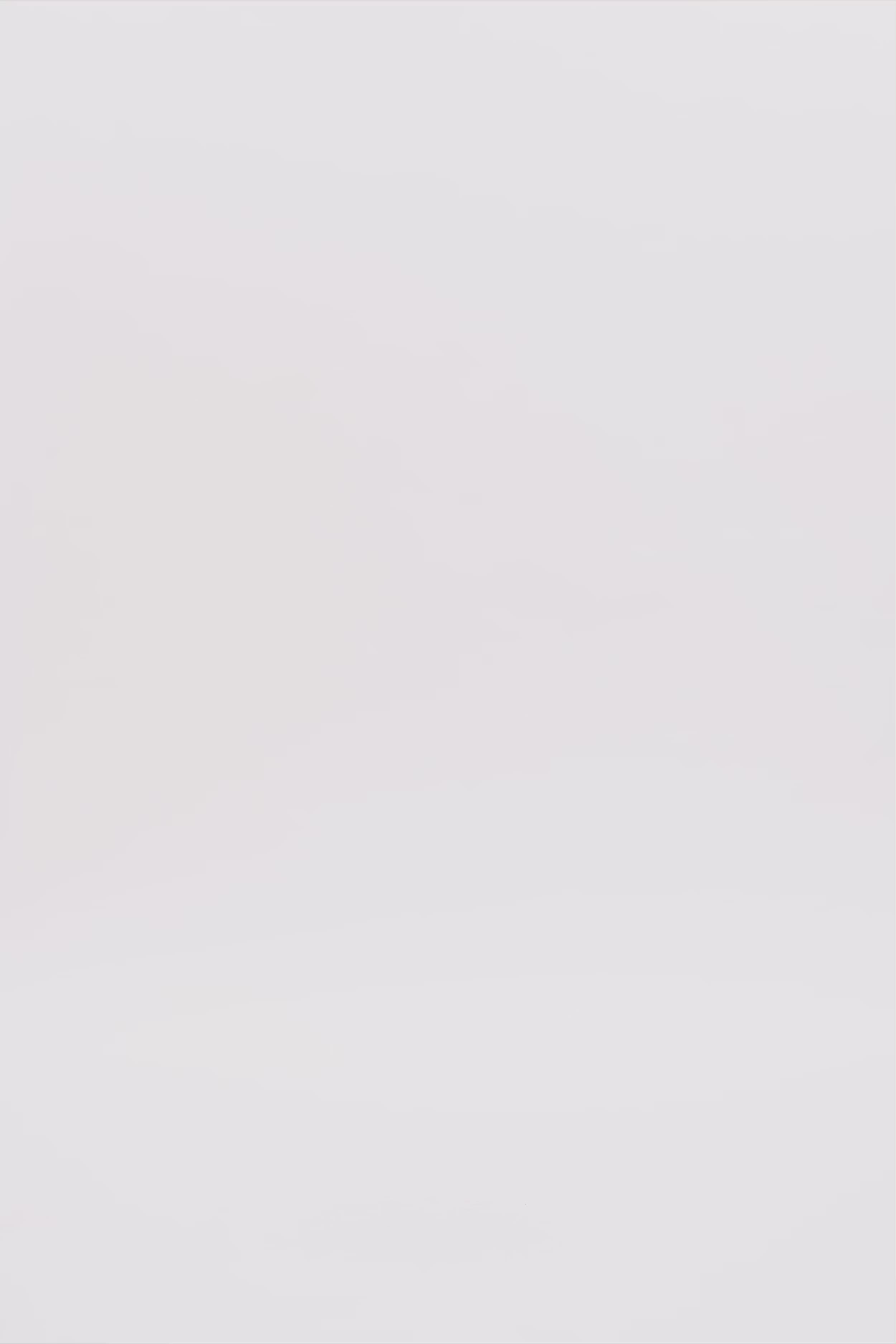 24850_1417_3.mov media file