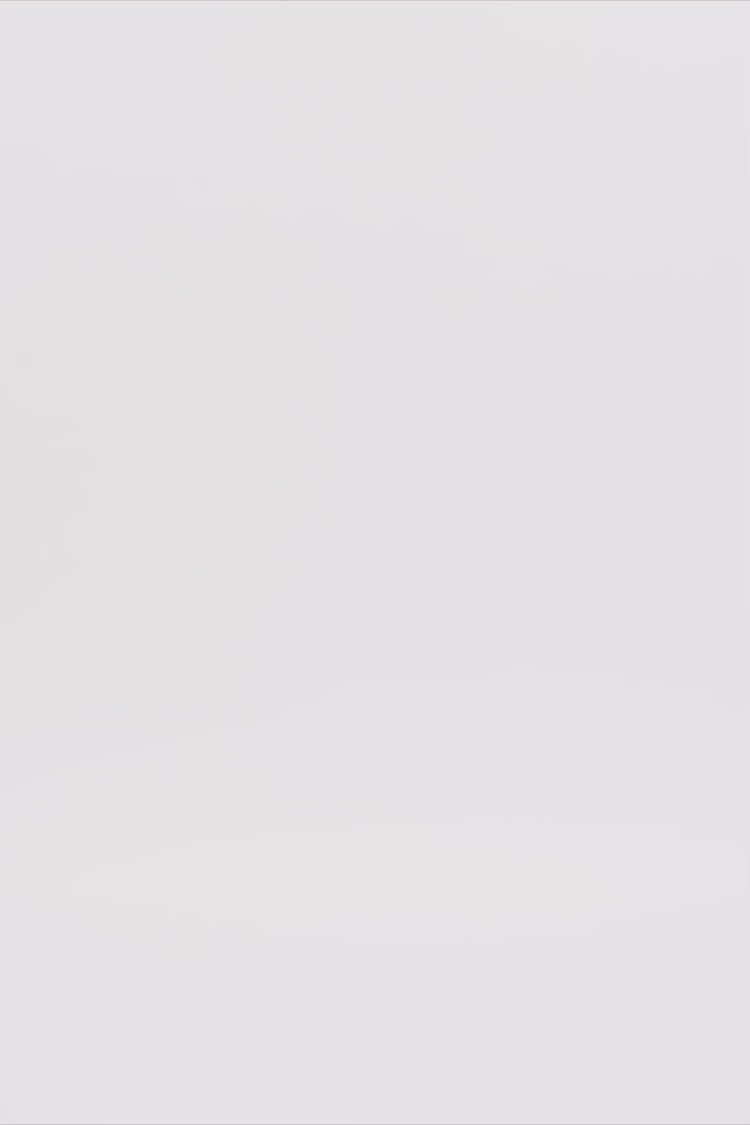 24776_2195_3.mov media file