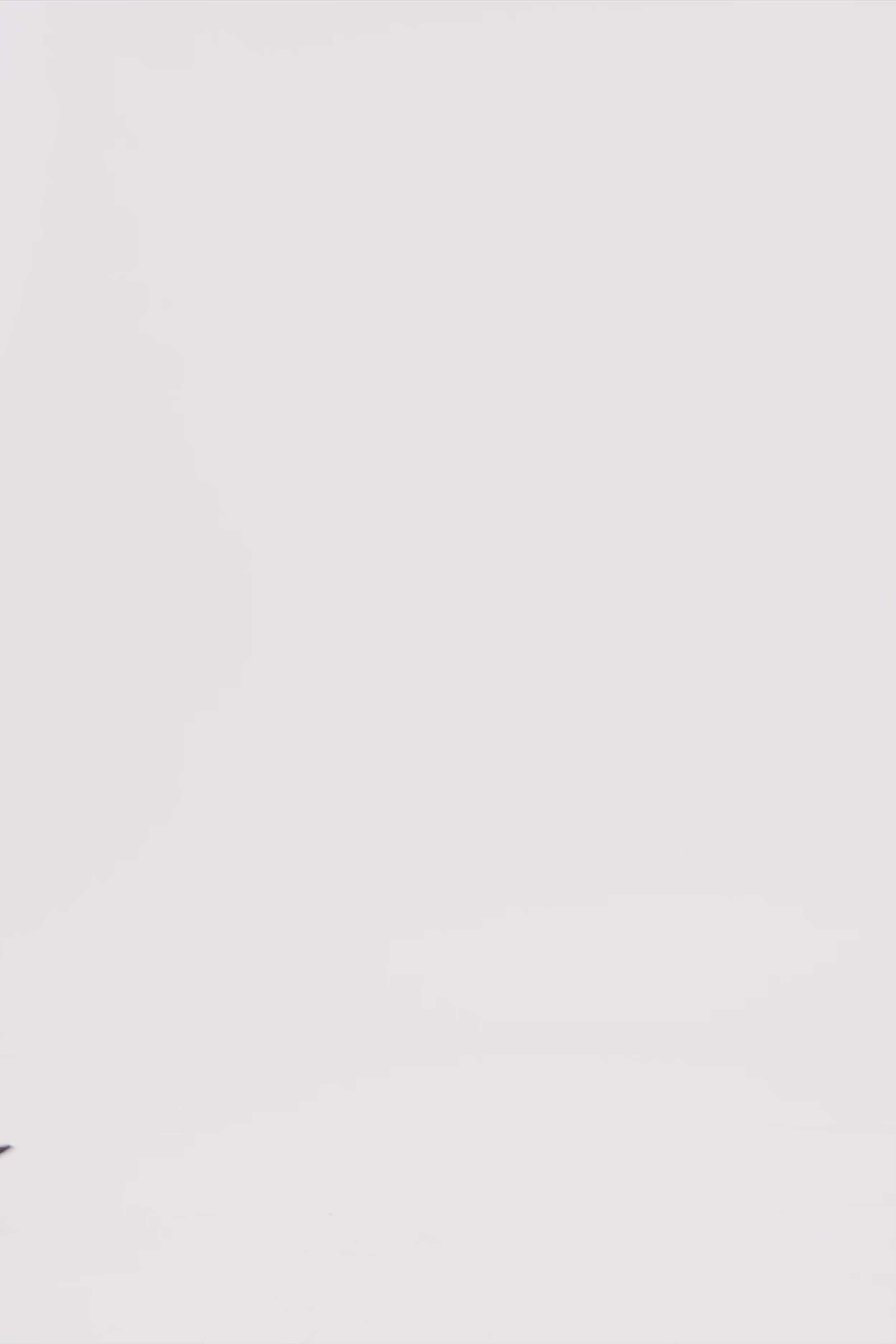 24663_7880_3.mov media file