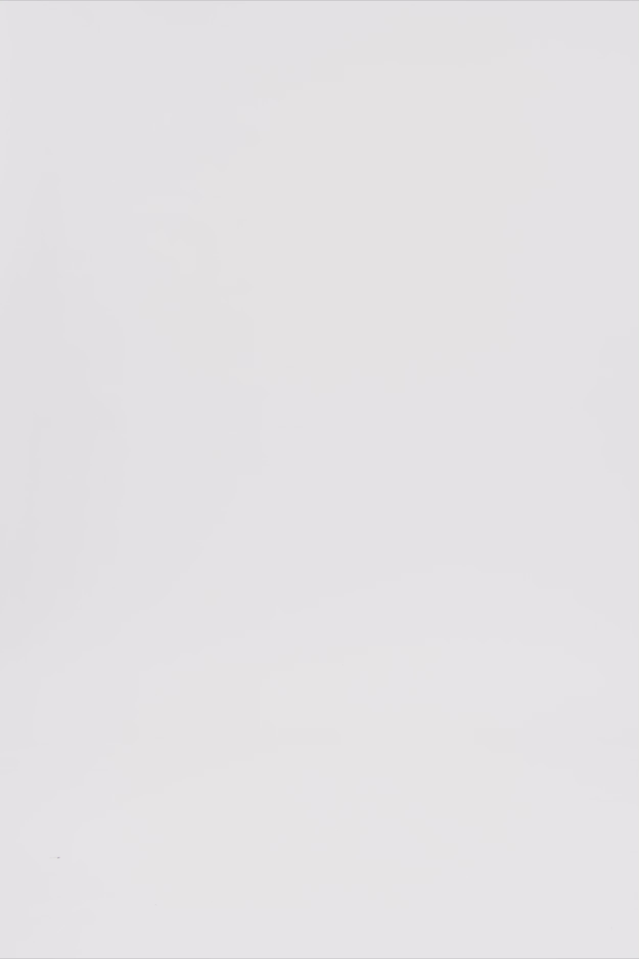 24573_8219_3.mov media file